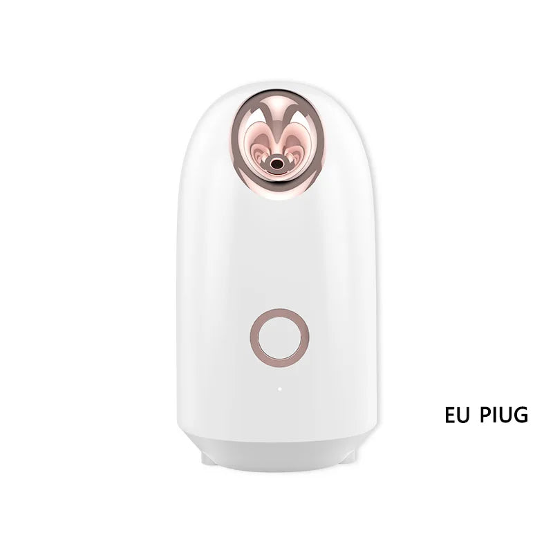 Facial Steamer 